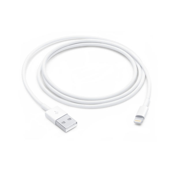 Câble Lightning vers USB (1 m )