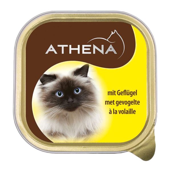 ATHENA – Nourriture pour chats à la volaille 100 g